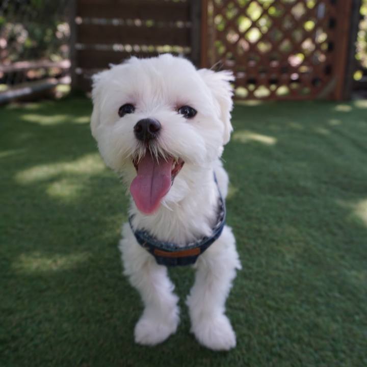 28575d71 907e 4b5e 96dd 2e907dff05cb