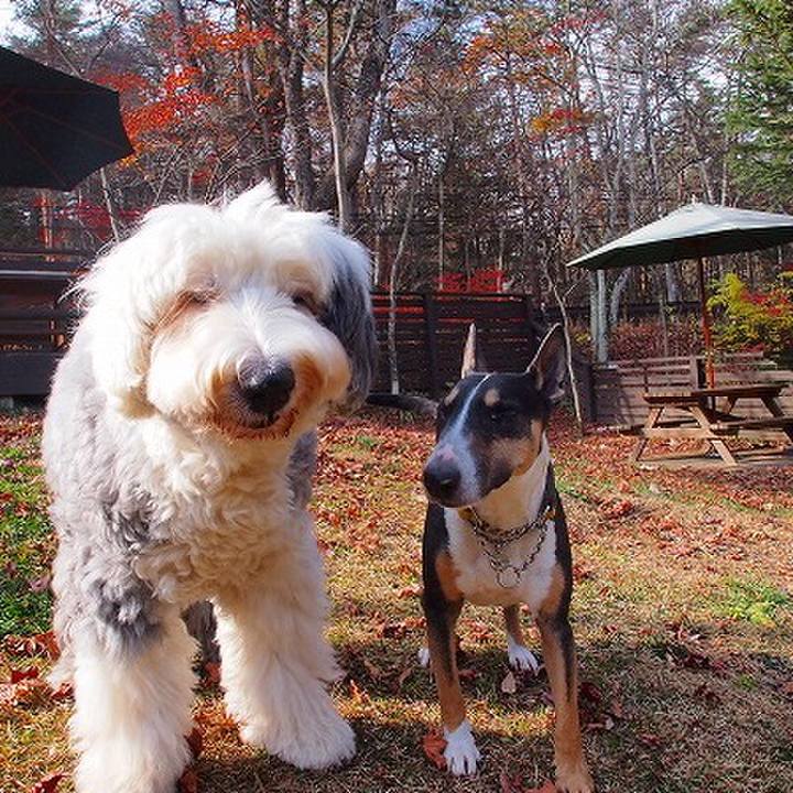 2858099f 19c6 4ab1 8731 6911f965887f