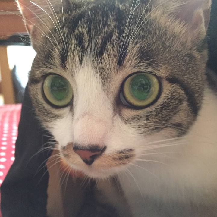 2858743f 8266 4208 9973 a39ac87499f2