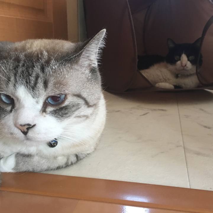 28590fe4 bd35 4071 83cf 2110a1a0bd31