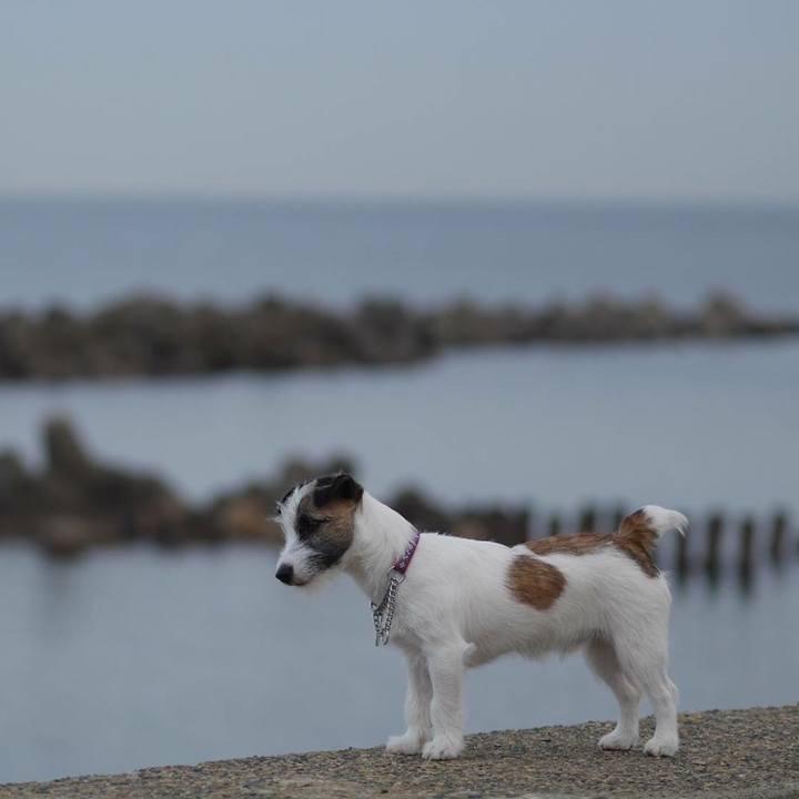 28591b61 2fb5 4aba 8f3c d9c665b9daac