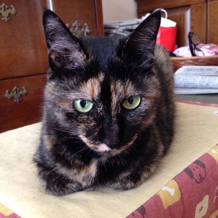 285960d4 2ada 4b4a b72f e5dab3d19364