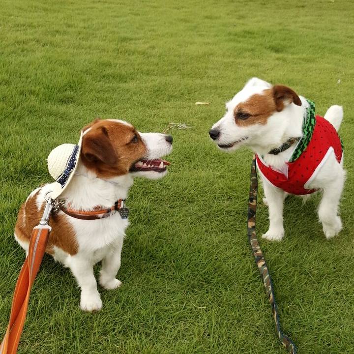 28597688 d7f1 4c7f b69f c90d05f0c4ab