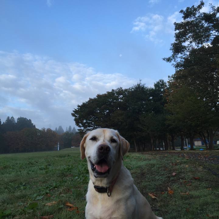 28597d18 708b 4a24 bee2 f79f4b22a7ac