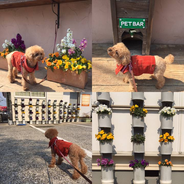 28598287 4054 4472 bf55 c784881ae3cf