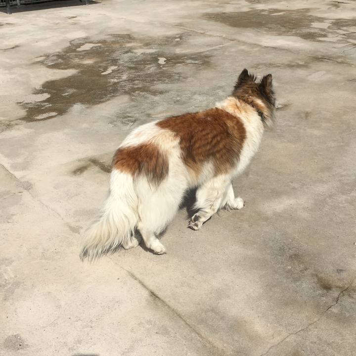 285bb80a ce06 47b7 b8d2 82a3f5a3e1be