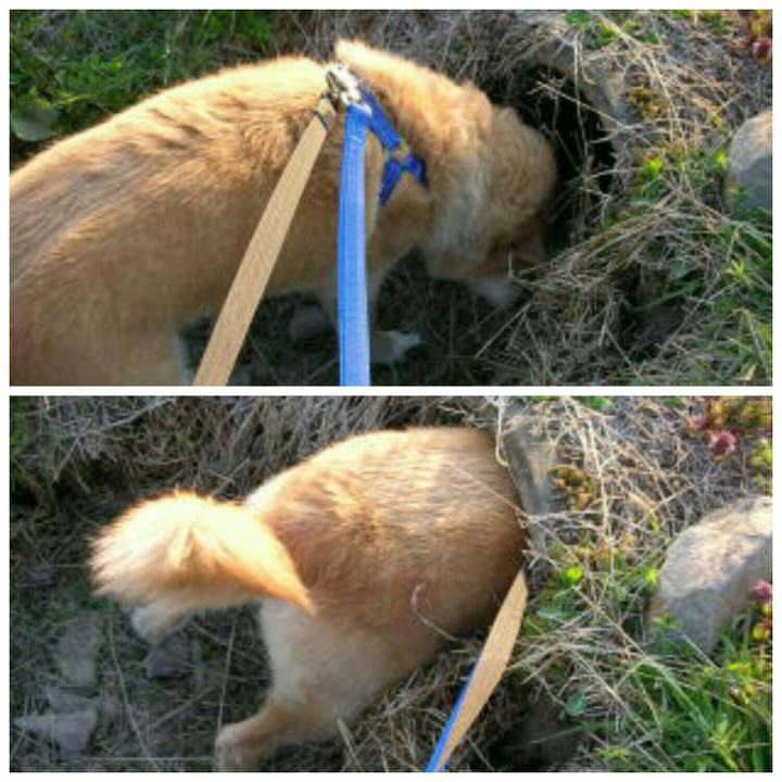 285be665 46d8 4e0c 8870 1b1d6d3a5a2d