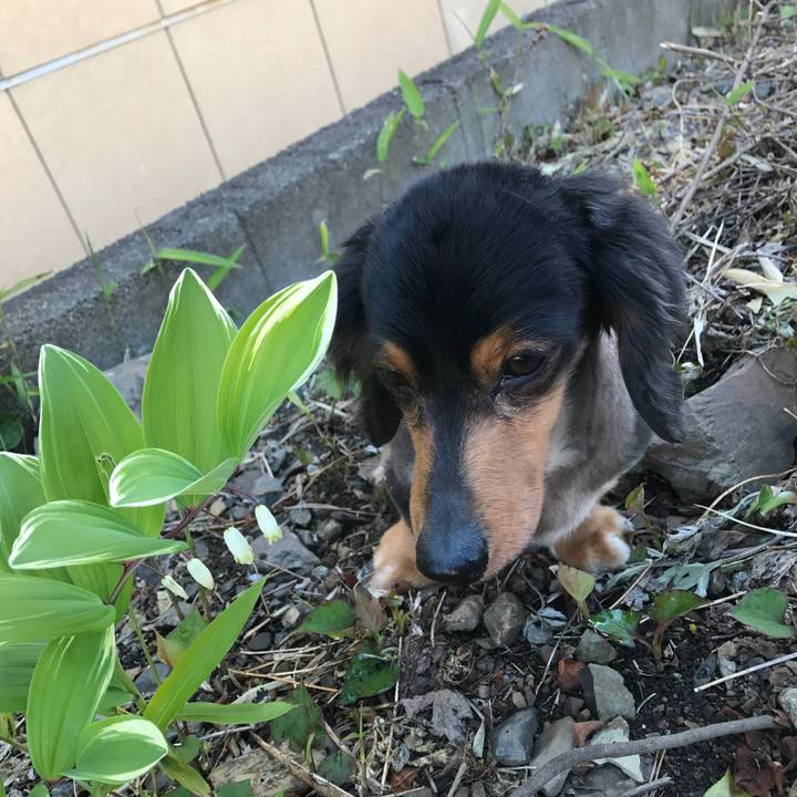 285c0e7a 09a9 4945 b8ee d5d10d31fea1