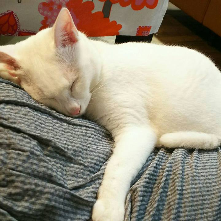 285c1fc3 3cd3 4c90 b111 7f58e1ecfe6b