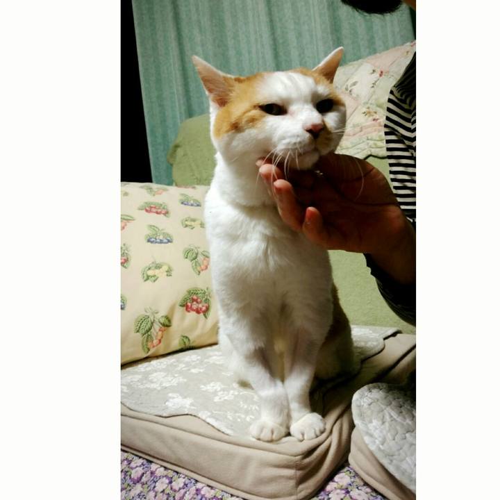 285d0b03 7e4b 4163 b872 041ec2c549ef