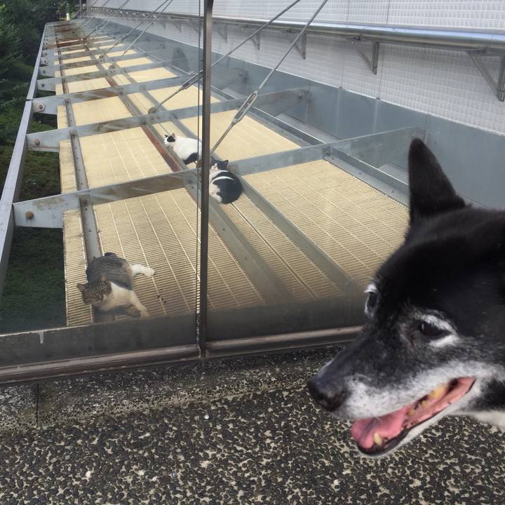 285d3e5e 6e7b 48fc 88dc 4e421813317c