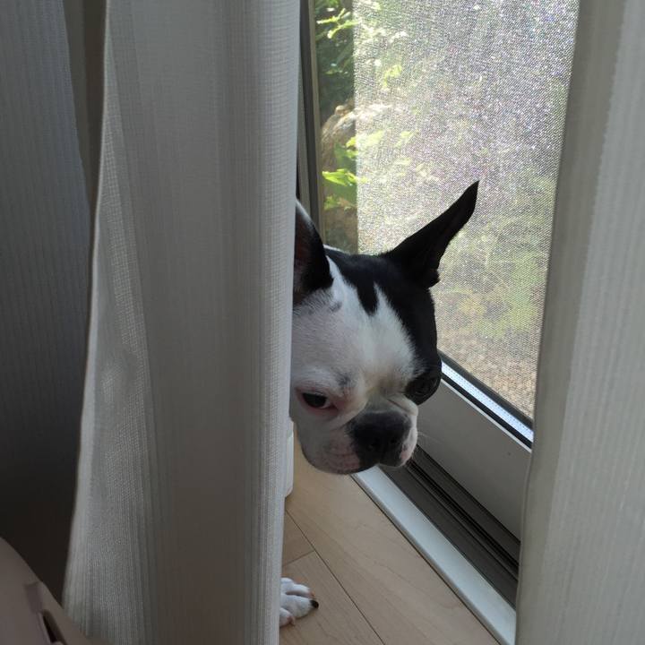 285df0a6 3d3a 48b9 a07b 20e411f6d975