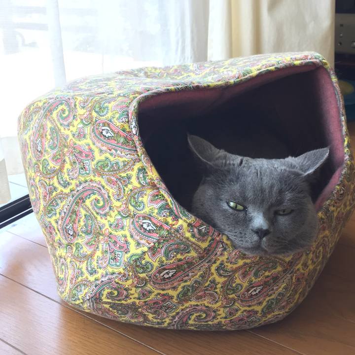 285df6c0 e77c 4b8e b088 d9d65cf8d21e