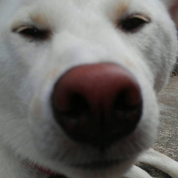 285e482d a121 4d99 83e9 43cb0c21b84f