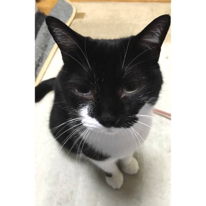 285e8cf9 2466 43aa aa09 f92882b0f723