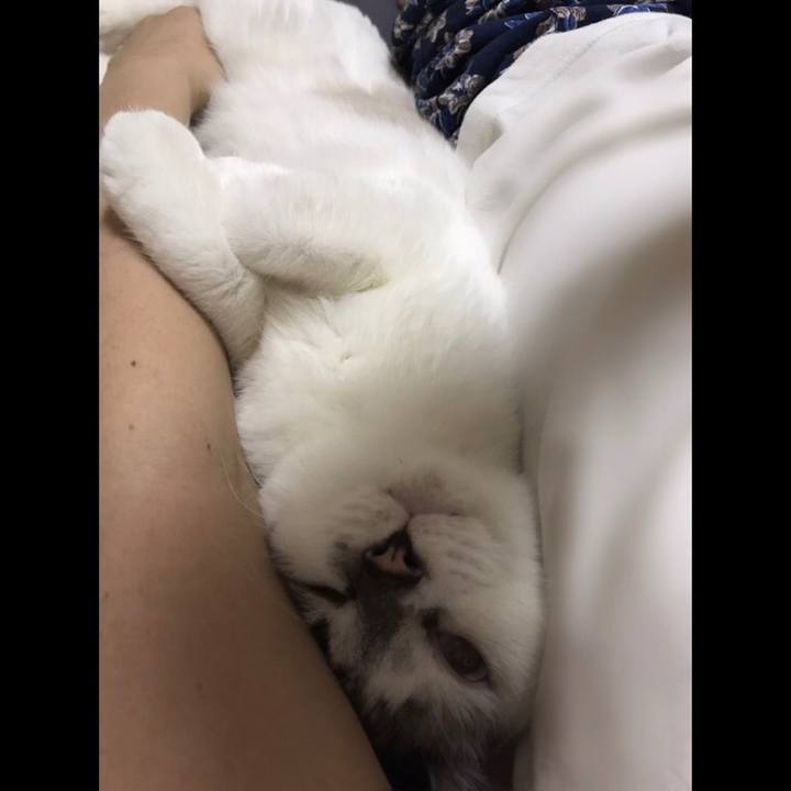 285ece37 5230 47d8 adb8 1b2a7bd8f32f