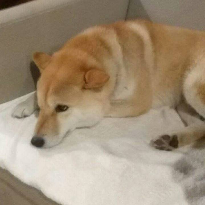 285ed0c0 b226 48b6 91f5 d4c5bf735a9f