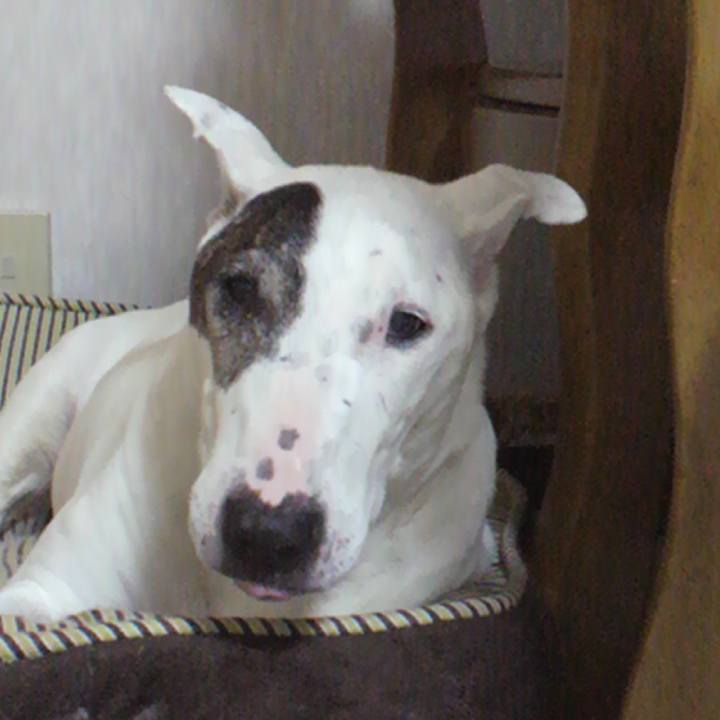 285edbd3 3d0c 405a 91be e62a661c9a77