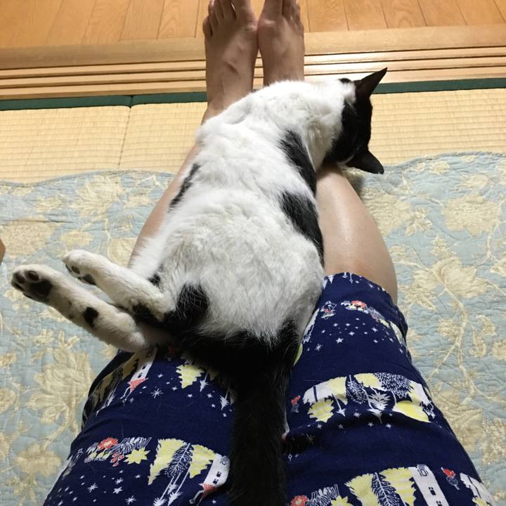 285f30e2 e1a6 41d2 9e4d 09db72ff3222