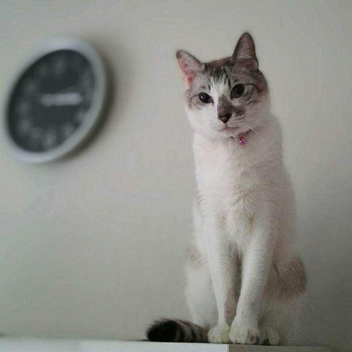 285f49b1 c4da 4435 862d 6991d72e1850