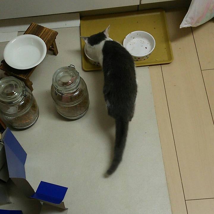 2860b1d2 8ea7 4e17 bf0d c17bfa580e8b