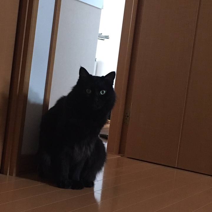 286135b6 95df 45d0 8e0d a0e22497f4da