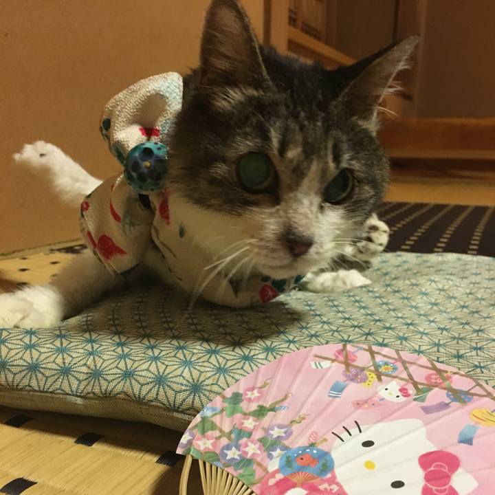 2861709f bbd6 4a0e b427 2cec9452fd50