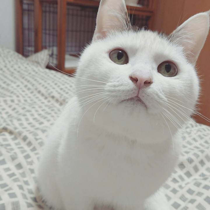 2861845c b5a9 4a89 815d 201c7225ab15