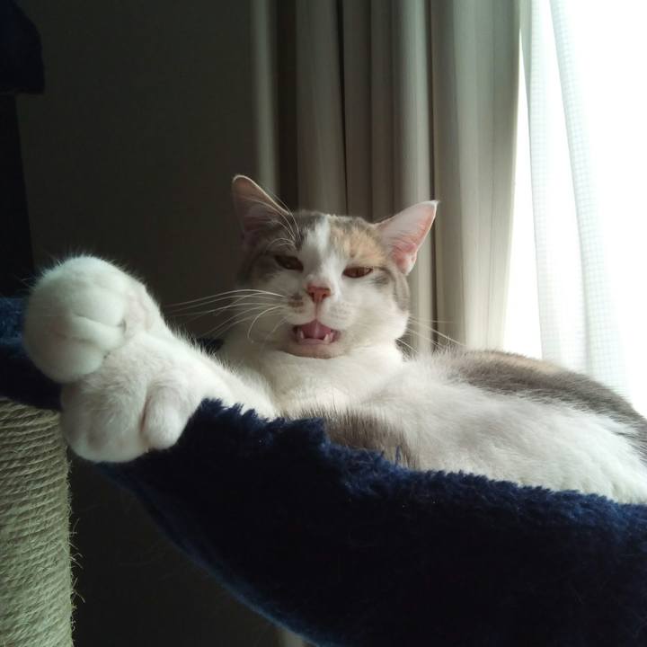 28618d34 b238 4d5a affa d7eea8f80e99