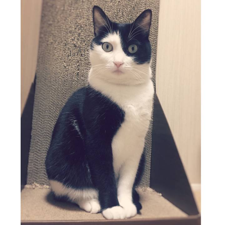 2862a6ec 87fb 43be a67e 8c3b1d4ed59c