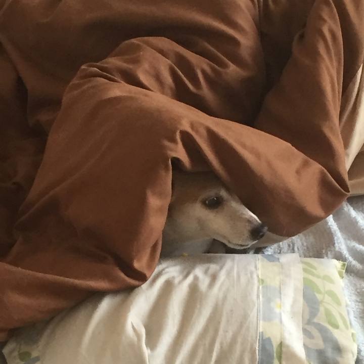 2862aa4b 3713 4eb9 aeb8 493ee244465b