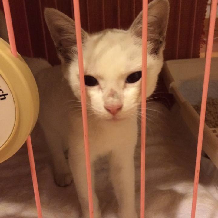 2862de99 630f 49f6 90f0 00392169e072