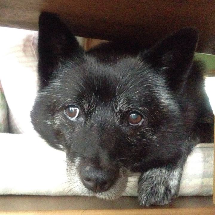 28636586 2488 4311 96c6 7f88e8afbda0