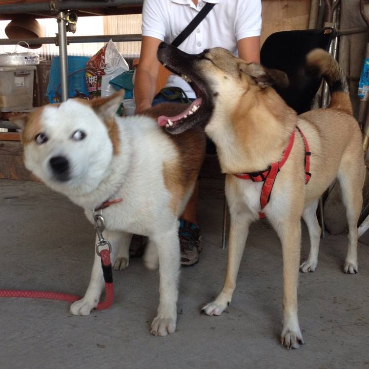 28636fb7 79e3 419e aa59 3d9e50c4fc85