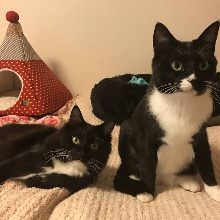 28638151 b0b2 424a 9a23 195a1d7c9f60