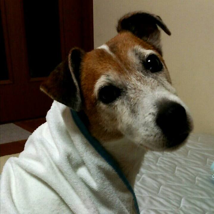 2863a5dc 3d96 4b30 b33f 53abf6775f84