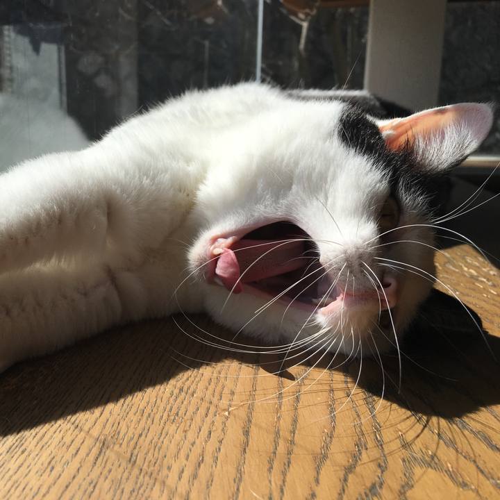 2863a69a c5dc 444a 8c7a 169da345f145