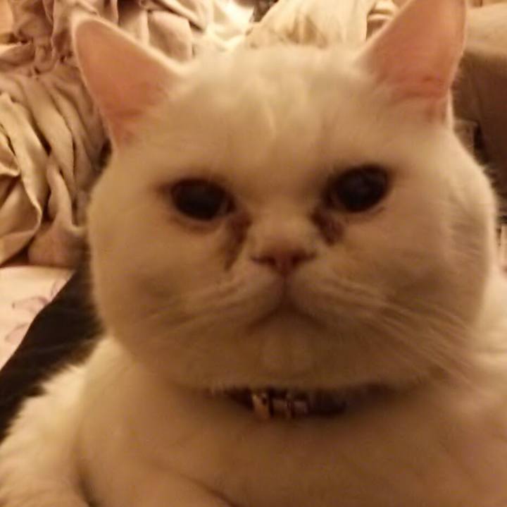 28651419 6bea 4554 8940 0a1ae4a3abe0