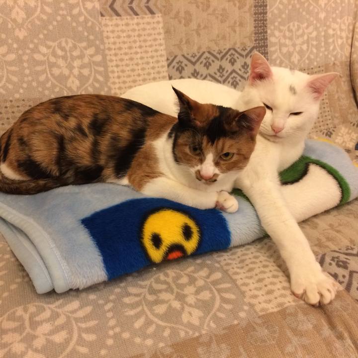 2865879c e163 4a4c a3ed bb1d4f30ee1b