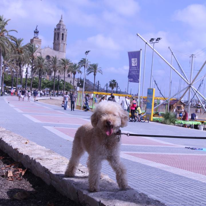 2865db77 69e1 4506 a97d 9dc77d28d123