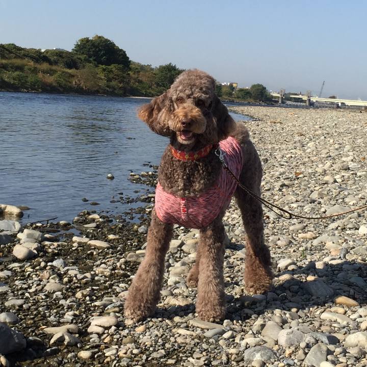 2866c4a8 186d 4744 aaed 2707c49e489d