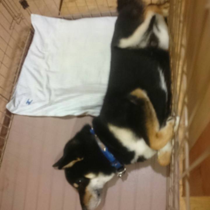 2866e93c 8d56 4170 ae71 f18a726c57a3