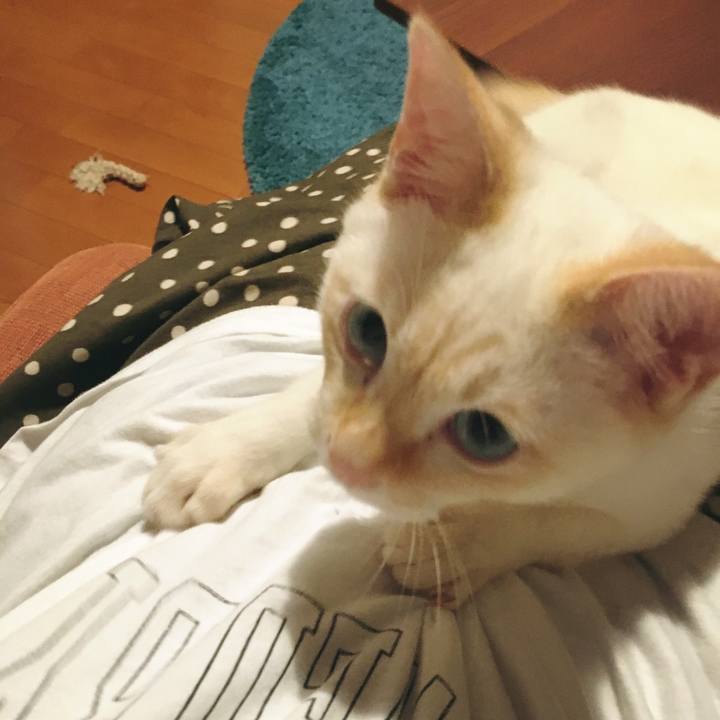 2867463f 393d 450e 9031 2f69cb8057ee