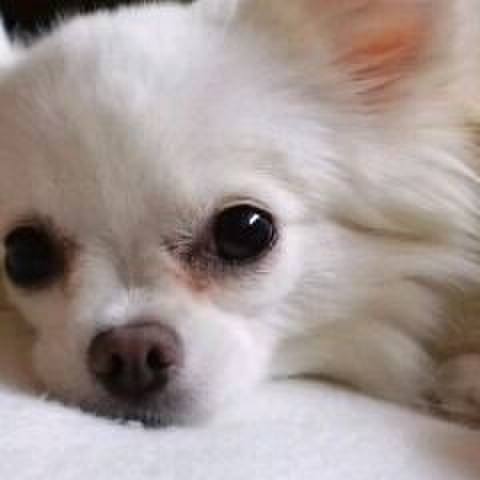 286750bb afdb 4f3b 9e21 cae6530faa11