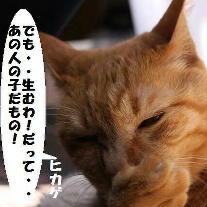 286793b7 3e09 4726 a9b5 efb035eb05a2