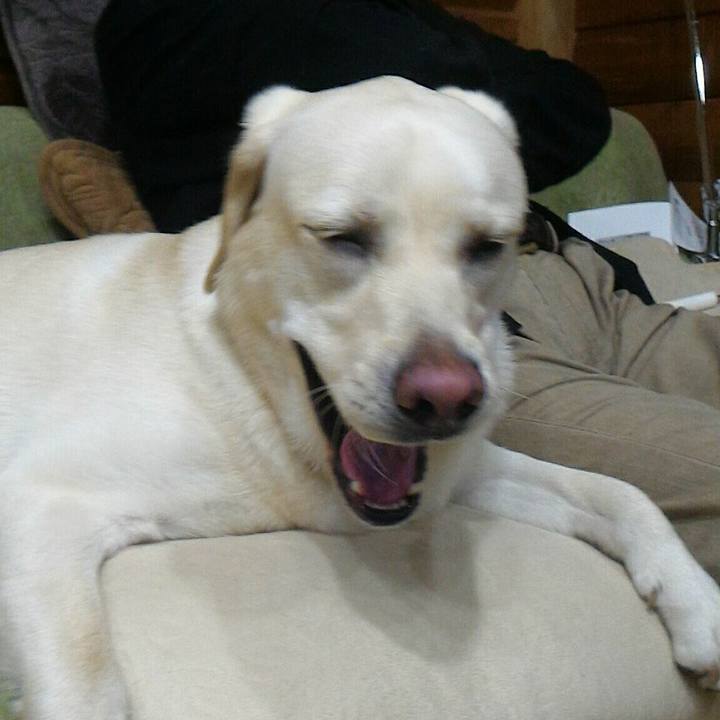 28685926 468c 4f00 b7f0 a5a2b4d626e0