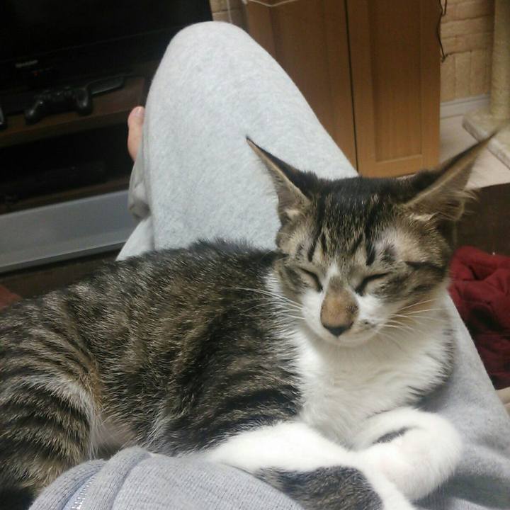 2868c3f4 c6d3 494b 8f1b 7bc0a3fbfe3e