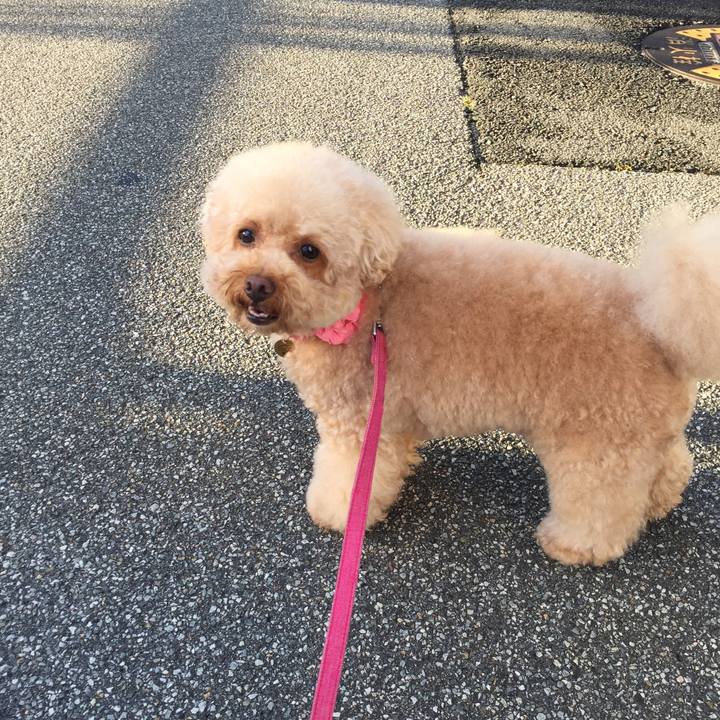 2868d59e 0149 4228 ae29 a3b7876531f9