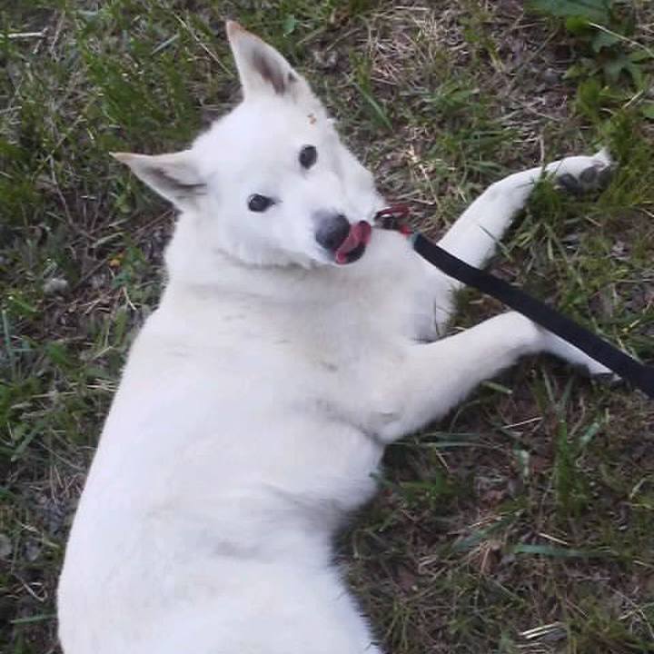 286a105b 9422 454d a73f c43b84f81a63