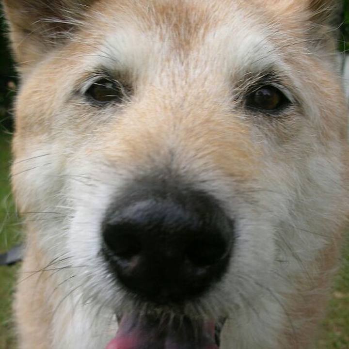 286a5893 0488 4b1a 8373 4a8aa1cfcd45